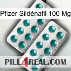 Pfizer Sildénafil 100 Mg dapoxetine2